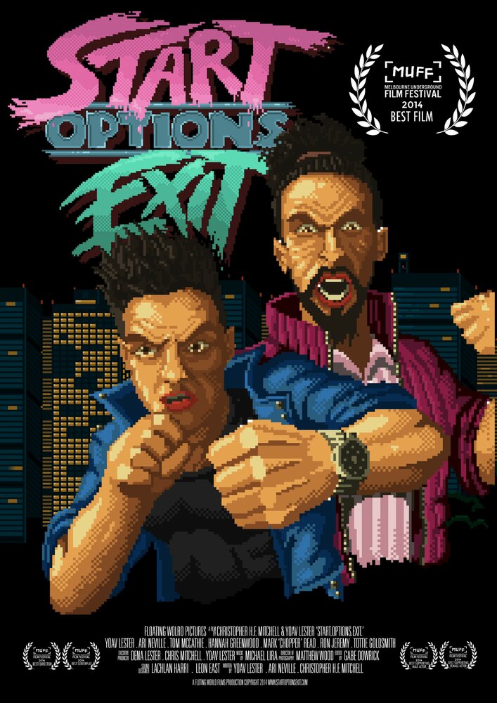 Start Options Exit (2014)