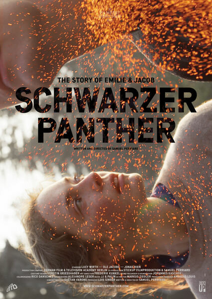 Schwarzer Panther (2014)