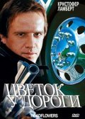 Цветок у дороги (1993)